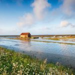 Zmiany ciśnienia a straty wody: mechanizmy powstawania wycieków i metody stabilizacji